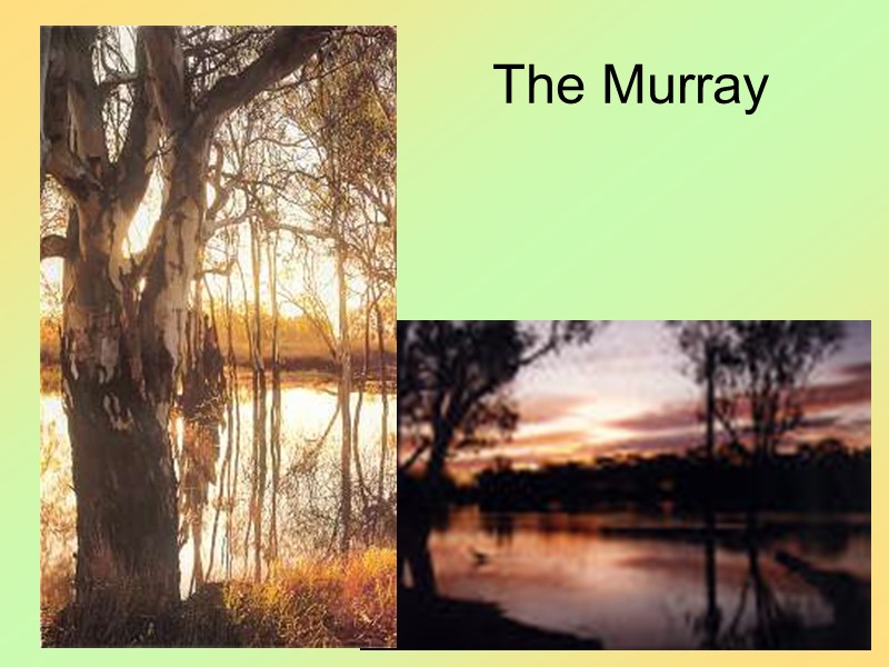 21 The Murray